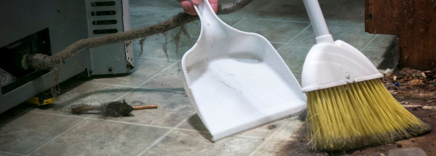 How To Limit Fire Safety Hazards